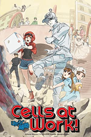Cells At Work Special (dub)
