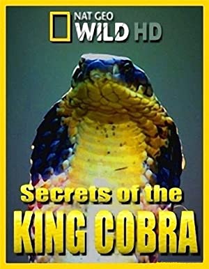 Secrets Of The King Cobra