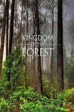 National Geographic Kingdom Of The Forest